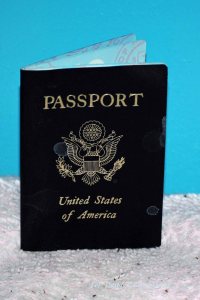 passport 002 copy